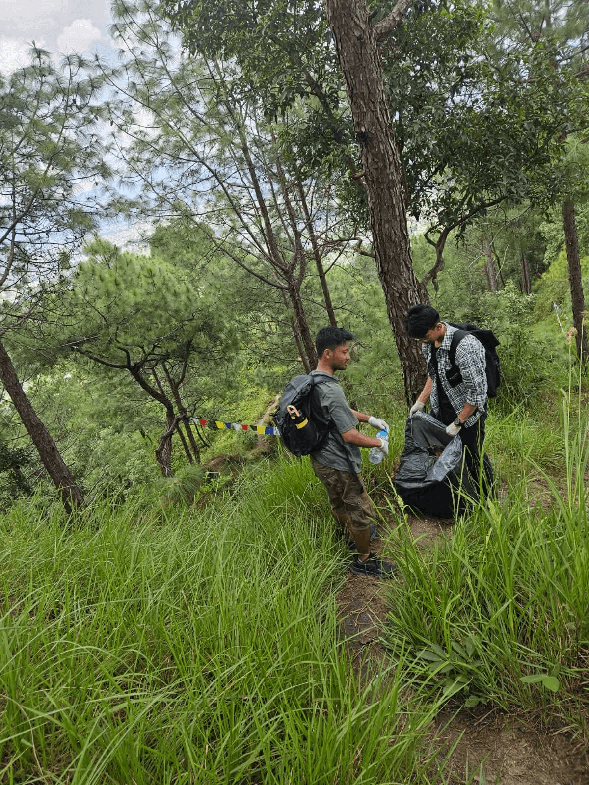 WebX team on the Tarevir trail