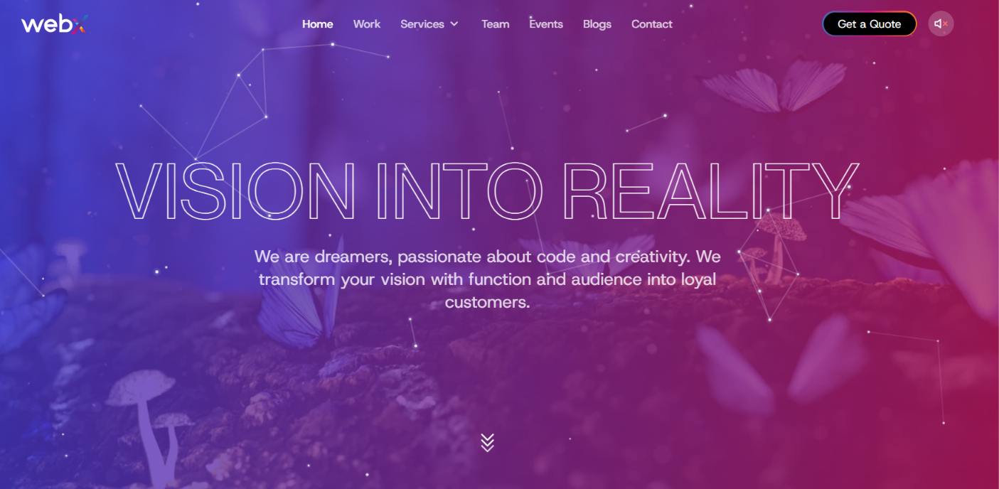 Best Web Development & Branding Company in Nepal | WebX Nepal